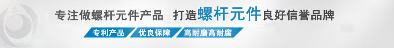 打造中國(guó)螺桿元件自主品牌